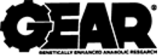 گیر